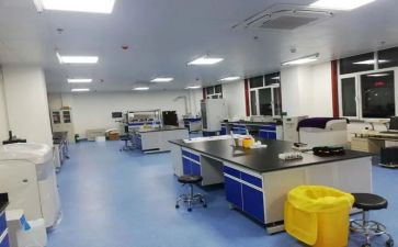 医学与检验科工作总结5篇