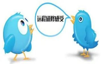 教师网络研修工作总结6篇