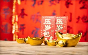 攒压岁钱作文5篇