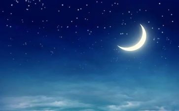茅盾子夜读后感7篇