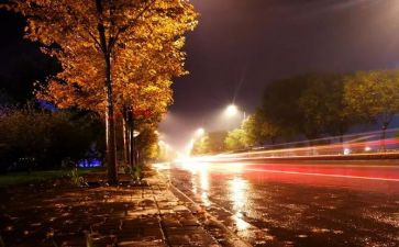 夜景作文400字7篇