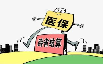 2024年医保年终总结精选5篇