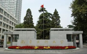 中医科护士的个人总结8篇
