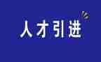 学校引才工作总结范文6篇
