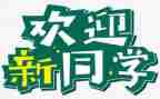 迎新活动总结通用7篇