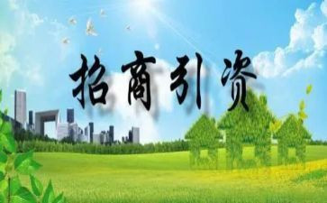 乡镇2024年招商引资工作总结6篇