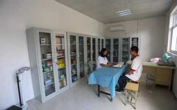 医务科工作总结报告7篇