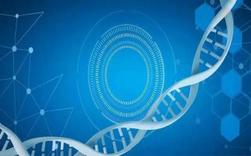 医学生心得体会最新5篇