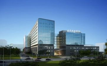2024年医院年度总结报告8篇