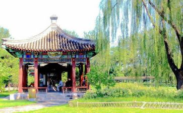 幼儿园元旦节游园活动方案5篇
