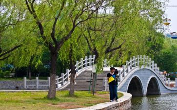 元旦游园会活动方案6篇
