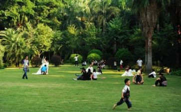 学校游园活动总结6篇