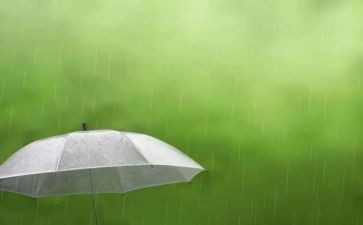 春天的雨的作文优秀5篇
