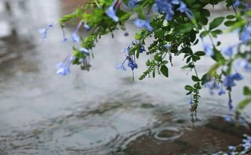 下雨啦的教案参考5篇