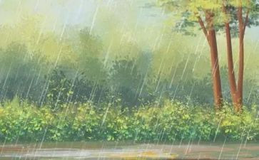 小英雄雨来的演讲稿800字5篇