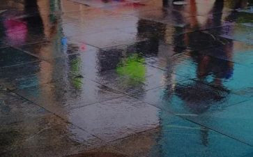 秋天的雨教案优秀教案参考6篇