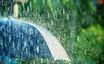 幼儿园中班关于雨的教案参考8篇