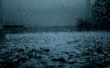 幼儿园大班雨来了教案优秀8篇