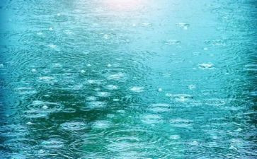 狼的孩子雨和雪心得体会推荐6篇