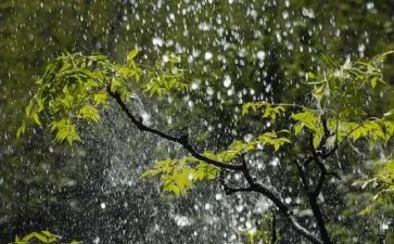 下雨啦的教案最新6篇