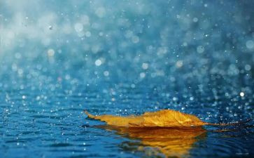 关于雨的健康教案优秀6篇