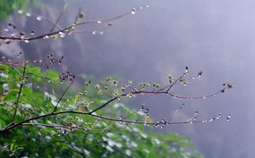 又下雨了教案6篇