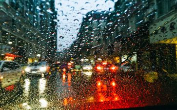 多在树上的雨读后感6篇