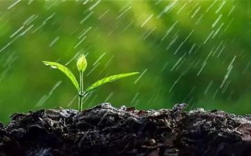 在雨中作文7篇