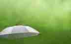 观雨读后感100字推荐8篇