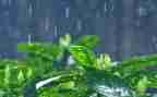 幼儿园中班雨教案推荐6篇