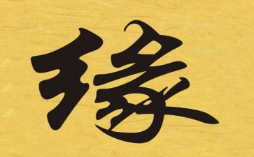 我与书的缘作文5篇