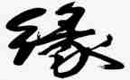 观看生命缘心得体会8篇