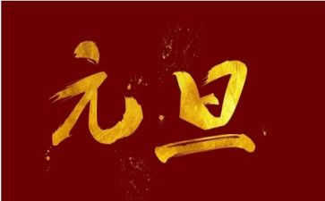 元旦心得体会600字5篇