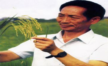 对袁隆平事迹的心得体会8篇