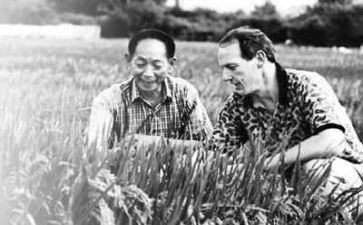 袁隆平去作文推荐5篇