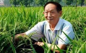 袁隆平去作文6篇