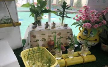 幼儿园培训工作总结5篇