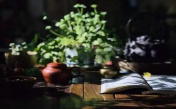 六上关于阅读的演讲稿5篇