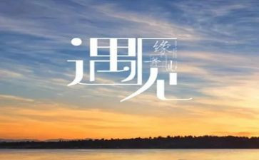 遇见800字作文5篇