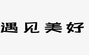 遇见雪作文800字作文5篇