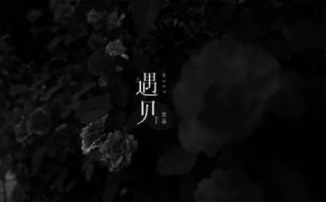 遇见的作文800字精选6篇