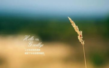 有关再见的作文6篇