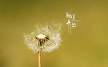 再见2024作文5篇