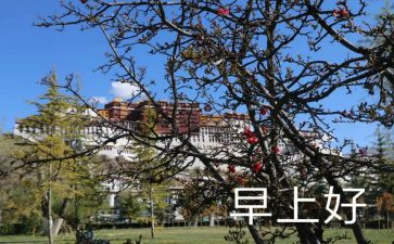 招聘早9晚5的工作计划模板5篇