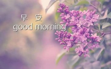 早操的教案6篇