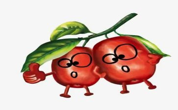 小柳树和小枣树教案6篇