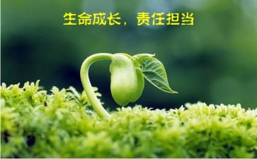 责任读后感通用7篇