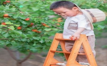 摘果子幼儿教案6篇