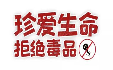 张从顺·张子权先进事迹材料优秀7篇