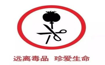 张从顺·张子权先进事迹材料8篇